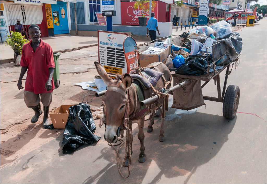 Gambia Nov2013 098