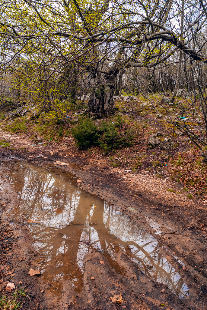 Titana Dajti April2009 20080417046