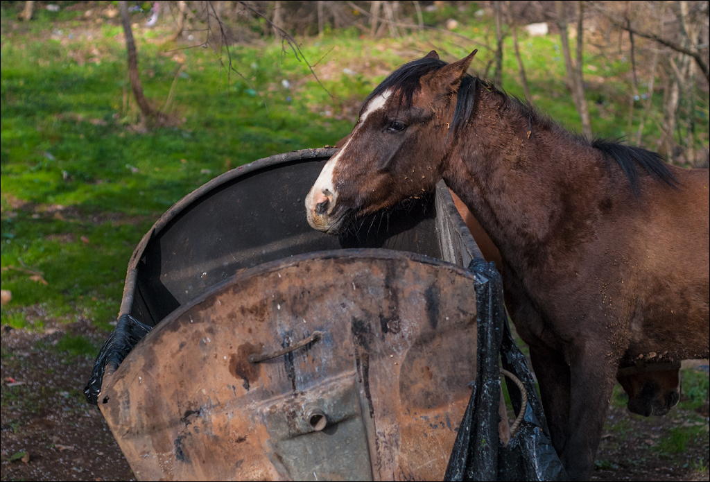 Titana Dajti April2009 20080417085
