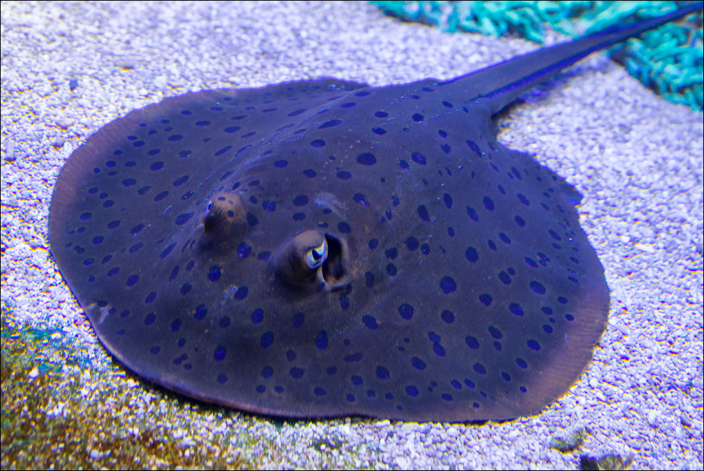 Salzburg 20180101038