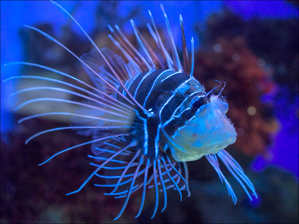 Salzburg 20180101040