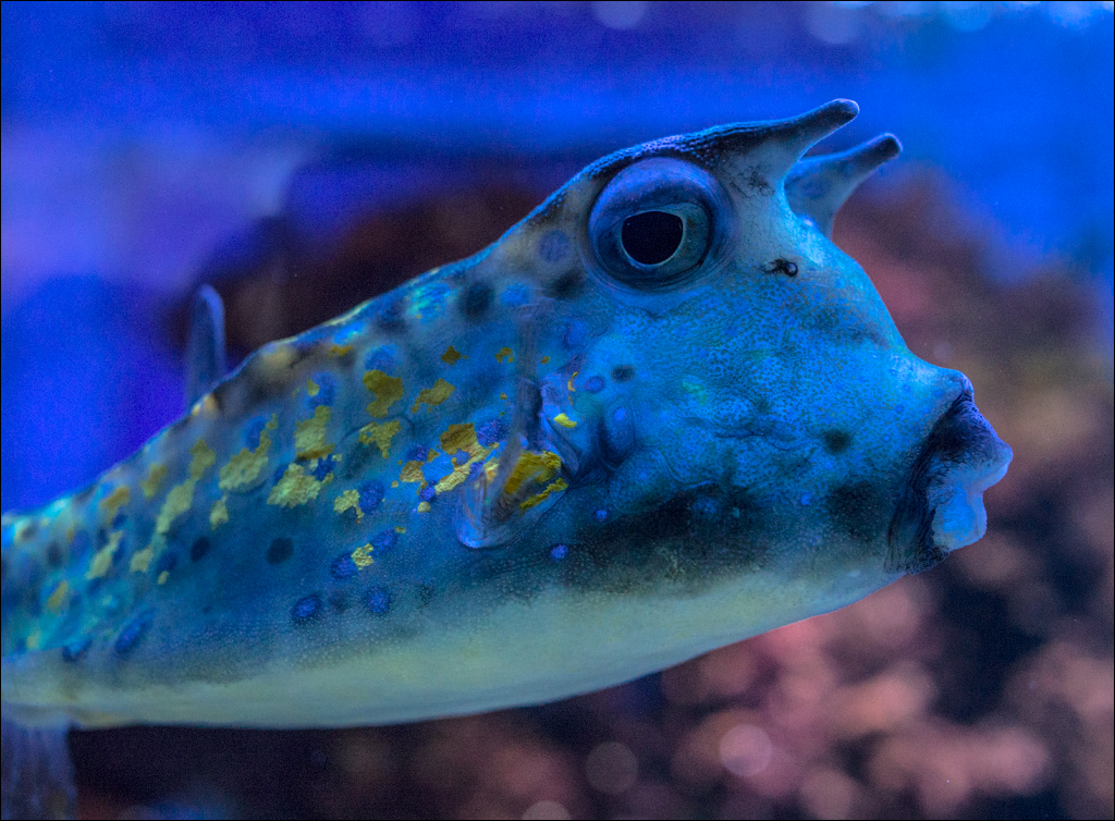 Salzburg 20180101044