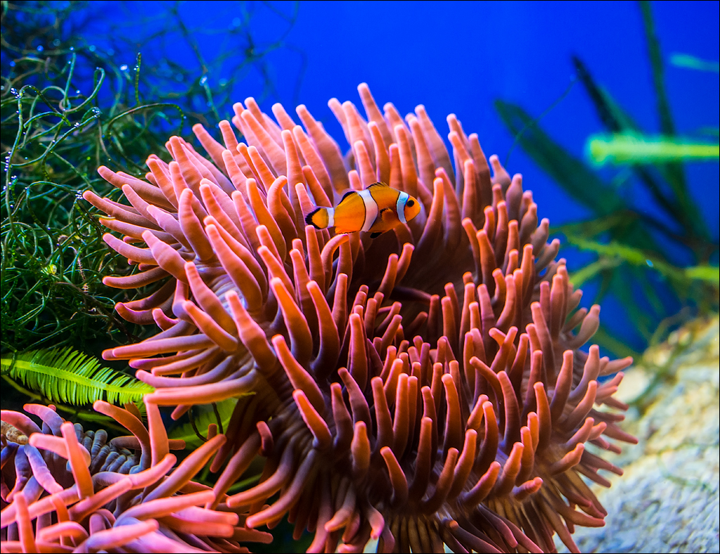 Salzburg 20180101046