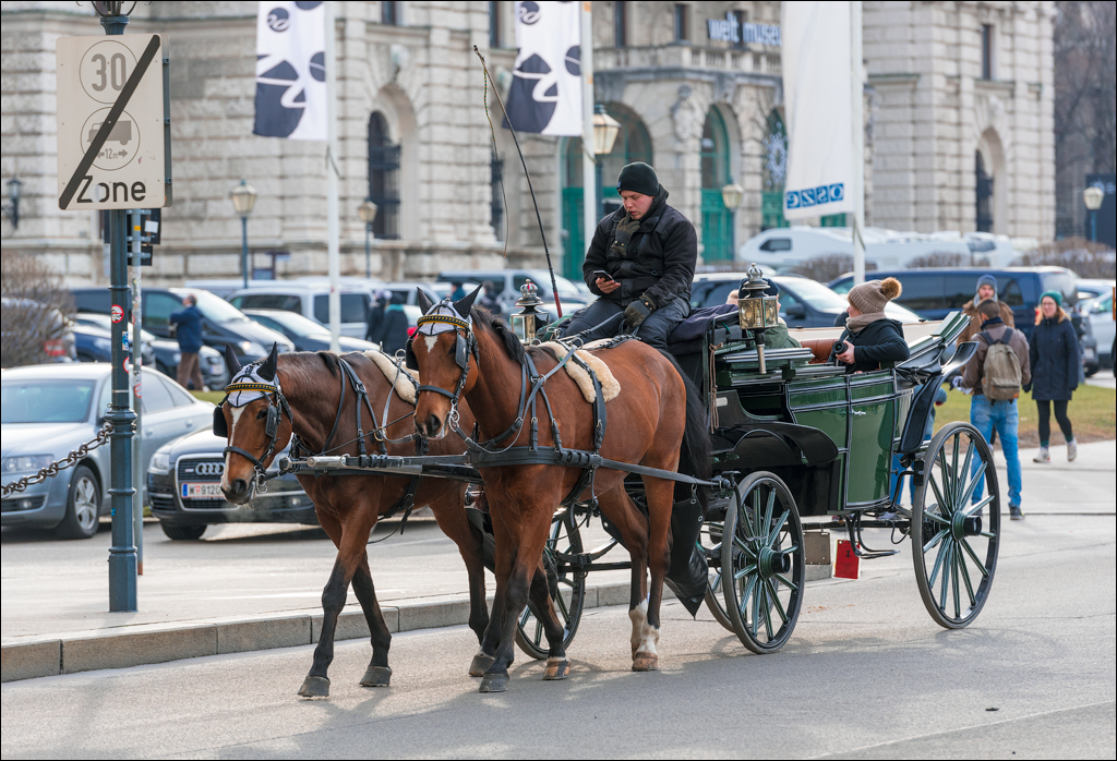Vienna 1 20180101087