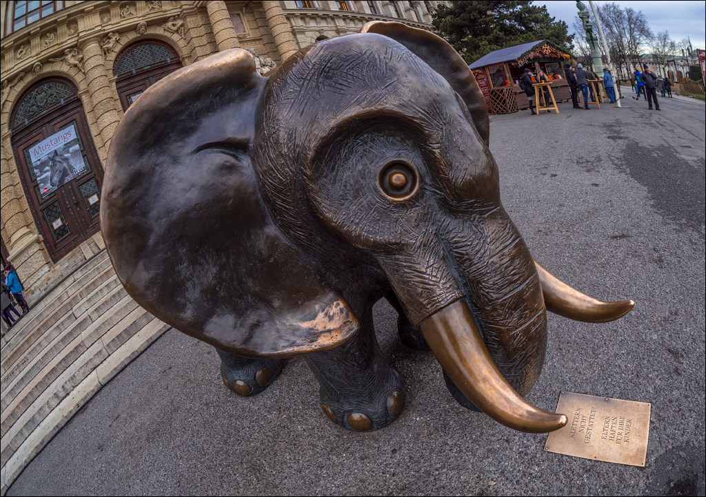 Vienna 1 20180101117