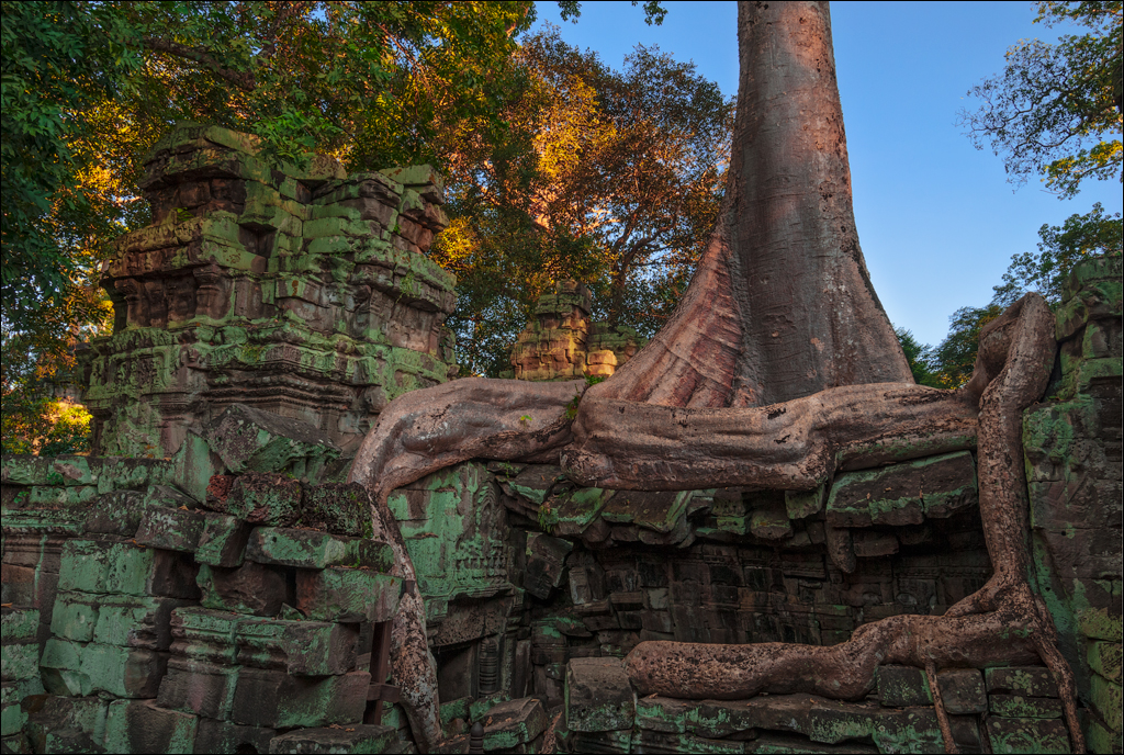 Ta Prohm Nov2009 013
