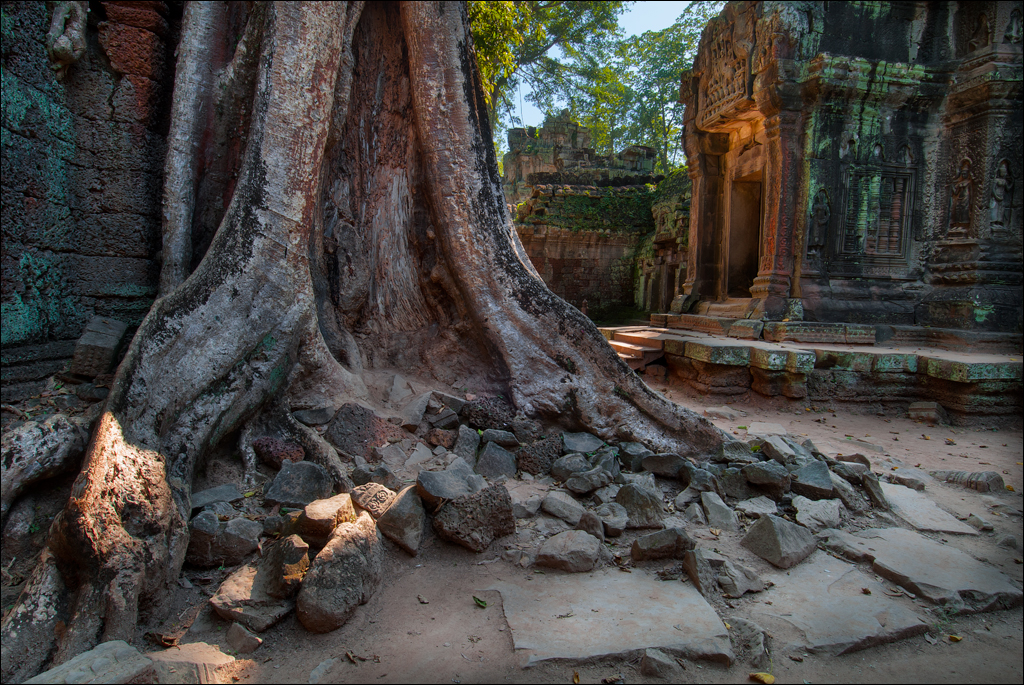 Ta Prohm Nov2009 036