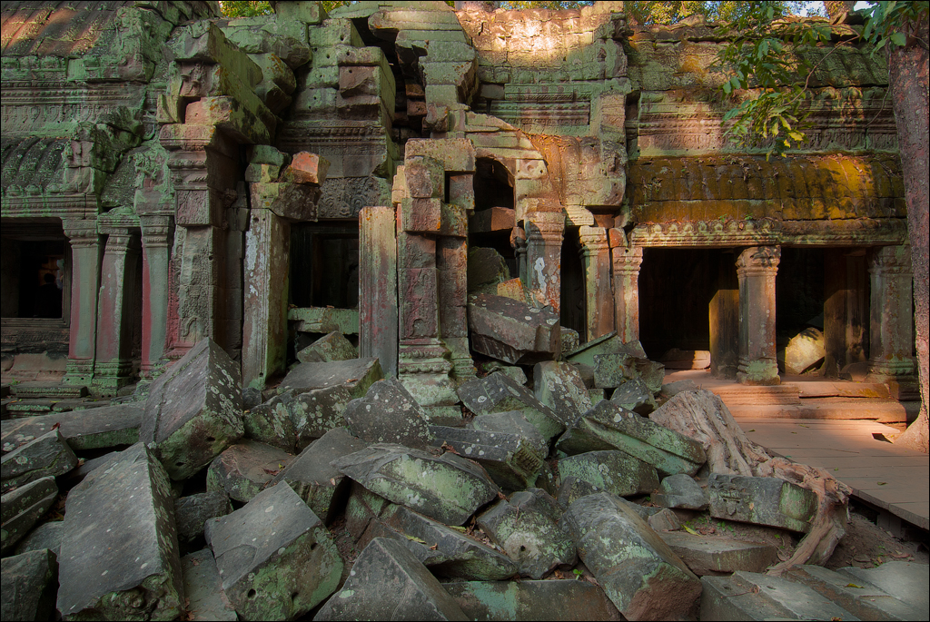 Ta Prohm Nov2009 040