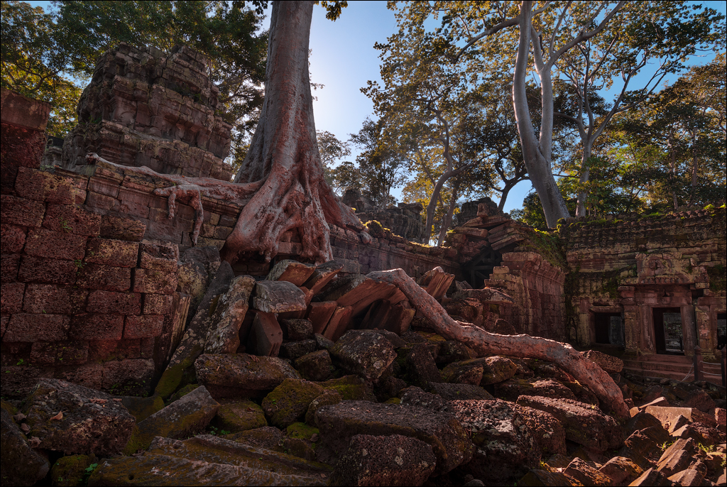 Ta Prohm Nov2009 041