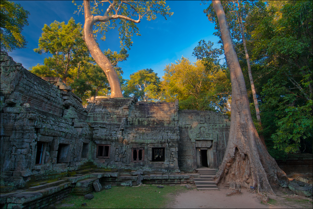 Ta Prohm Nov2009 043