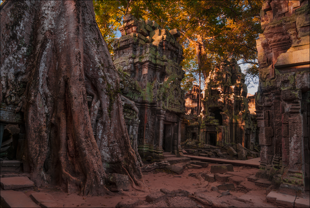 Ta Prohm Nov2009 046