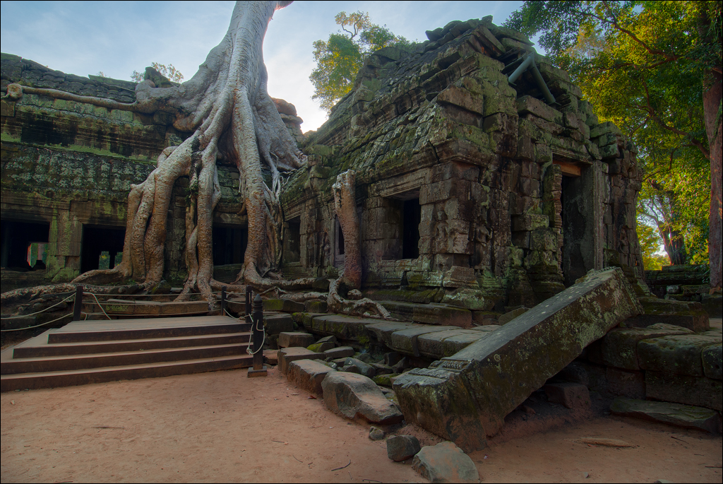 Ta Prohm Nov2009 050