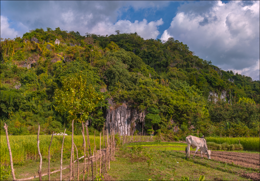 Kampot Bokor Nov2009 053