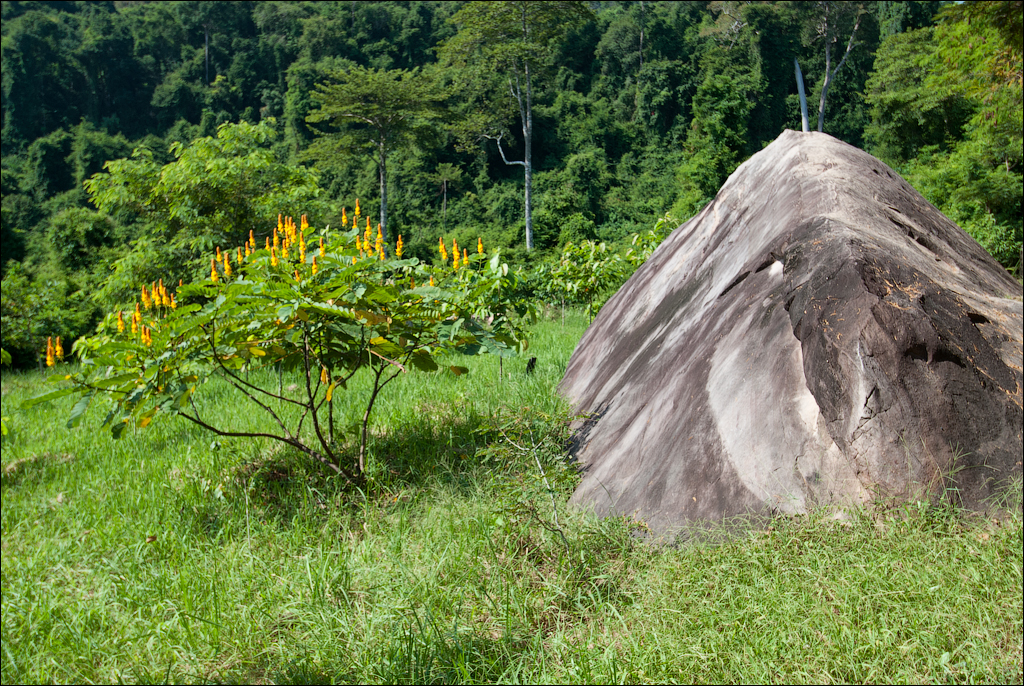 KohKer BoengMealea BantriSrei Nov2009 079
