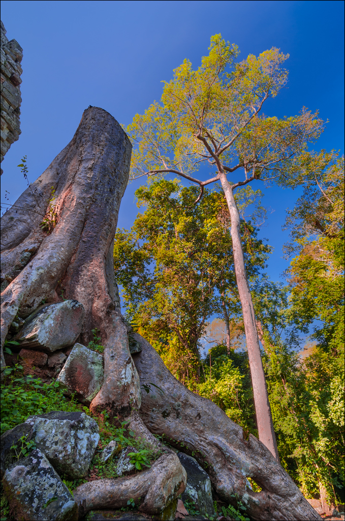 MinorTemples Appsaras Nov2009 057