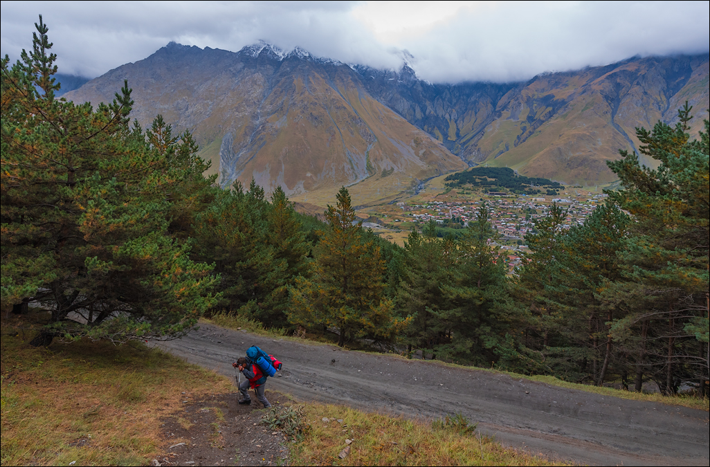 Georgia 16092313533367