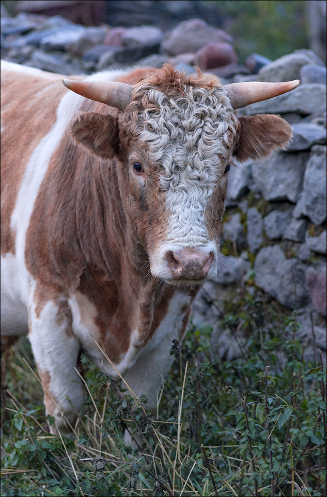 Georgia 160927053817208