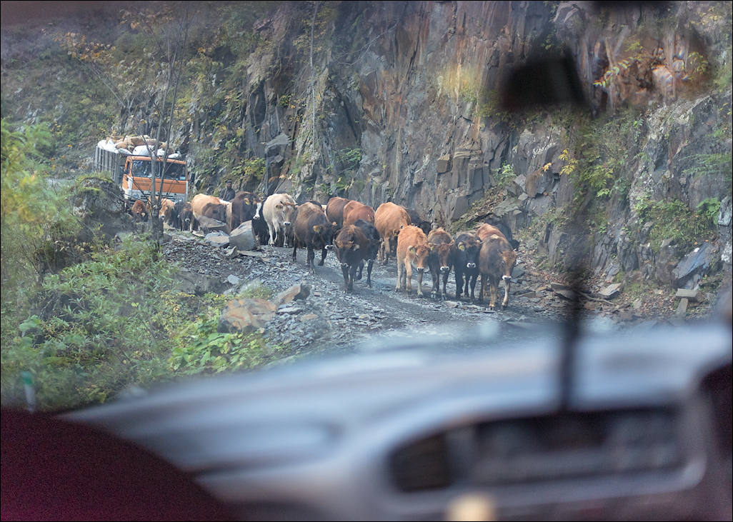 Georgia 160927162754226