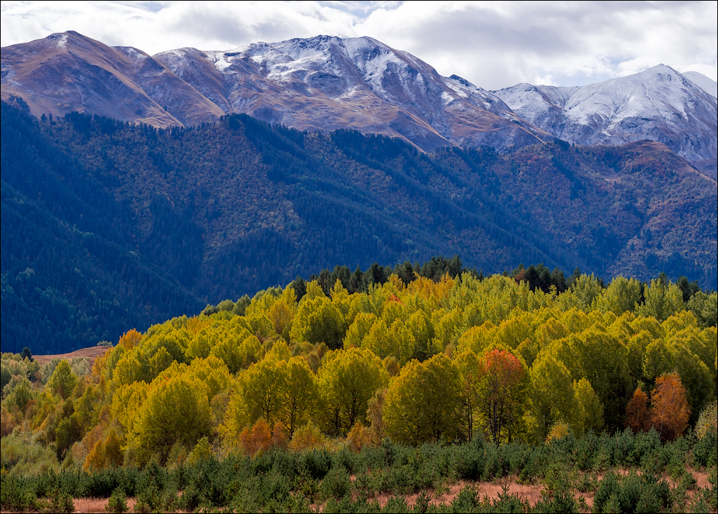 Georgia 160928054821265