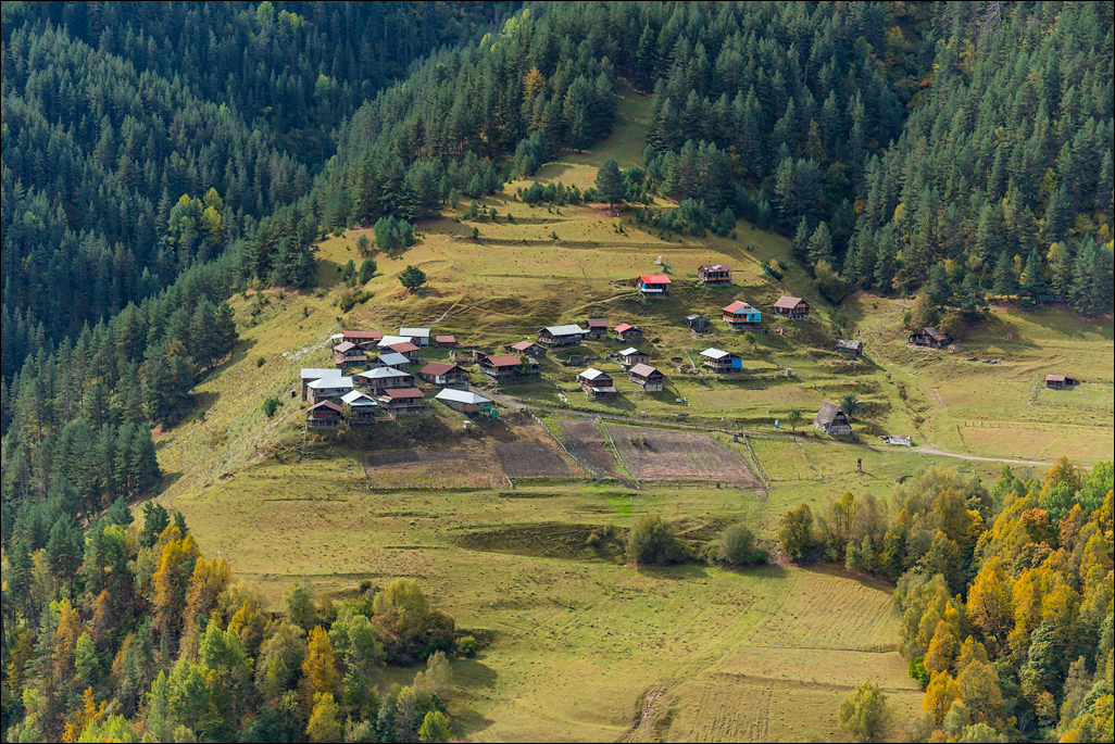 Georgia 160928084801279