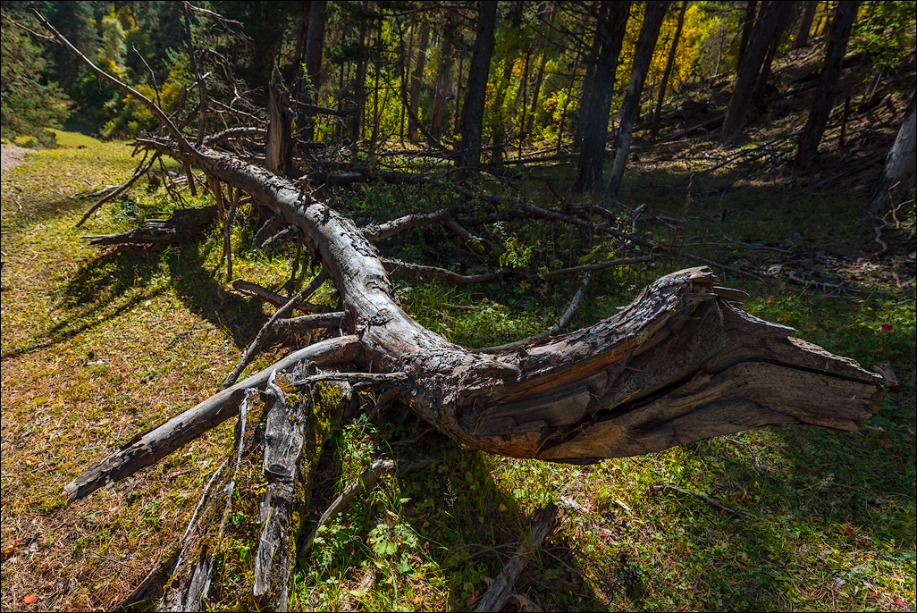 Georgia 160928115636314