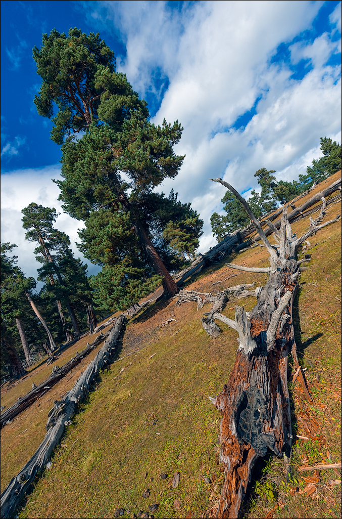 Georgia 160928122101318