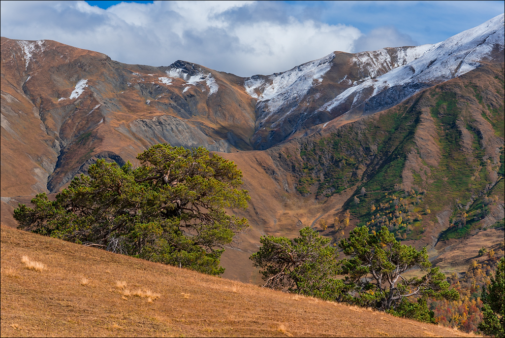 Georgia 160928124408327