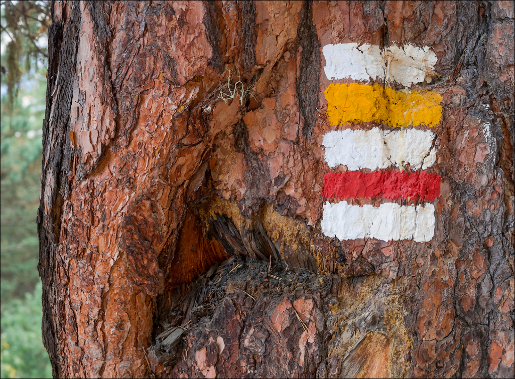 Georgia 160929124910400