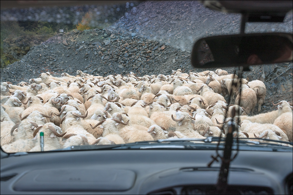 Georgia 160930153744557