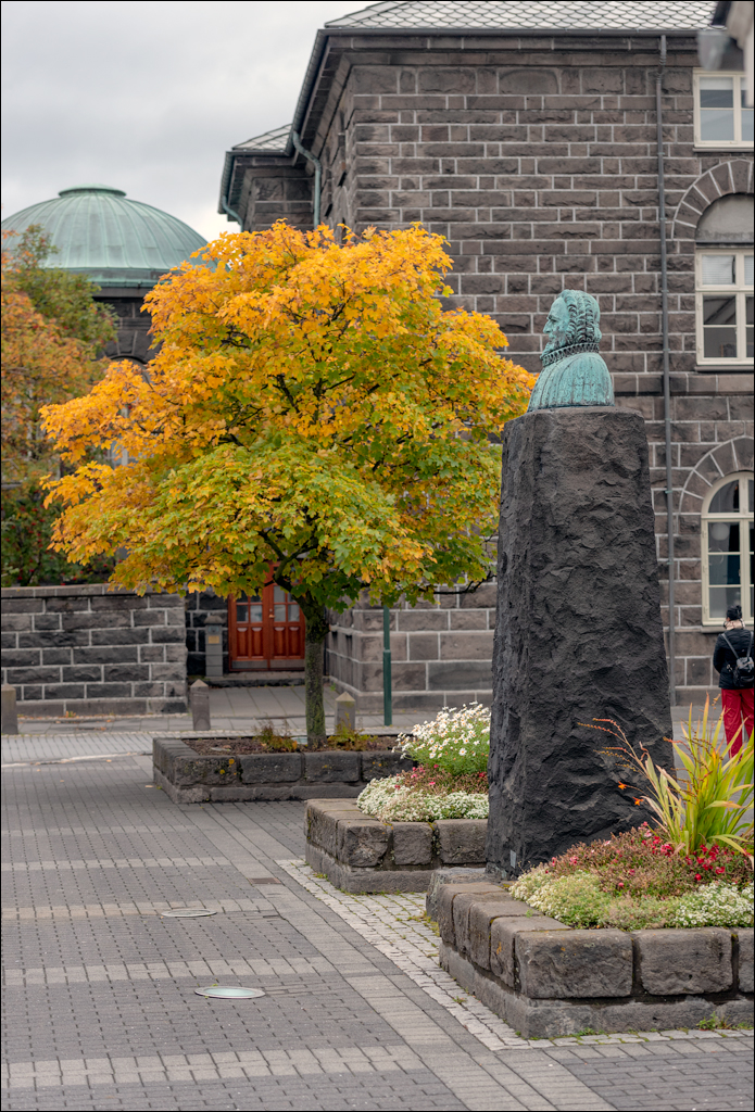 Reykjavik2 04012020 222