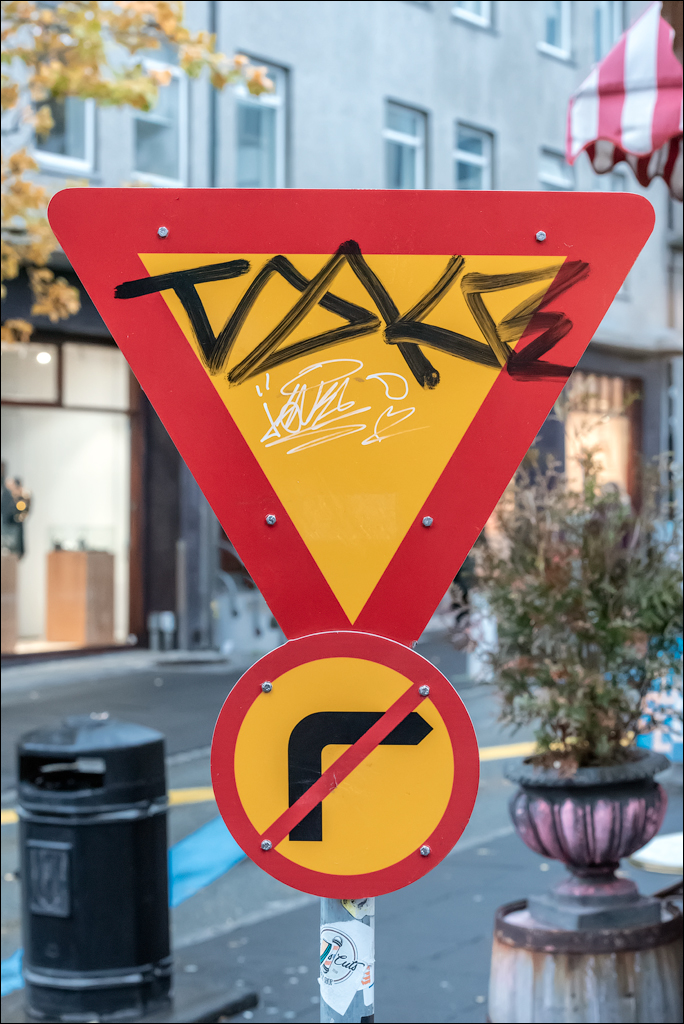 Reykjavik2 04012020 237