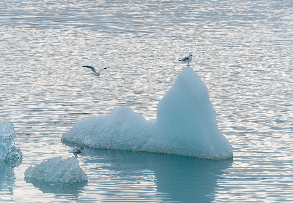 Iceland4 04012020 138