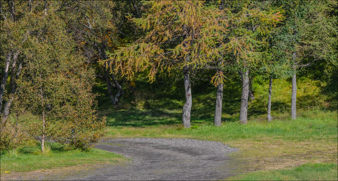 Iceland4 04012020 185