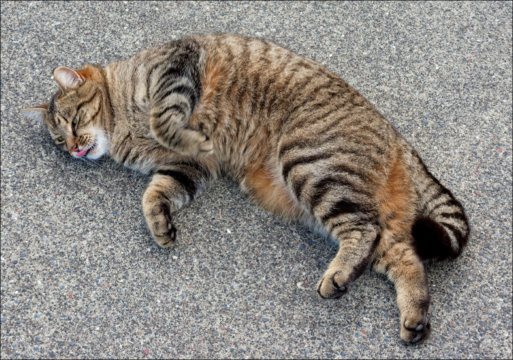 Grundarfjordur 2023 214