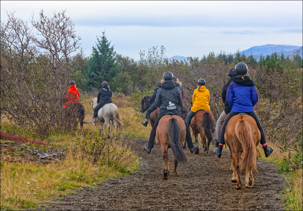 RaudholarCalgahraun 2023 102