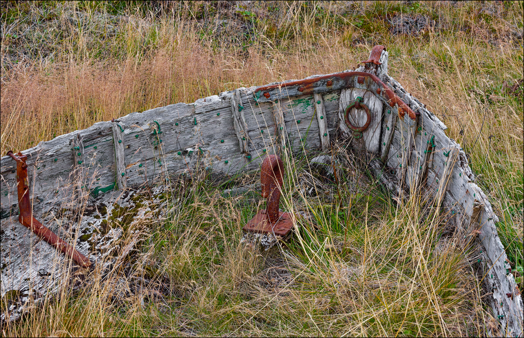 RaudholarCalgahraun 2023 119