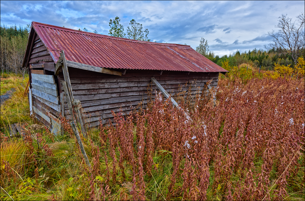 RaudholarCalgahraun 2023 142