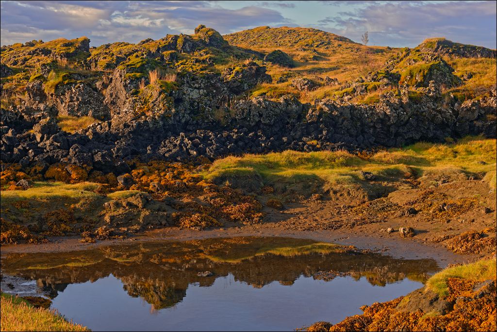 RaudholarCalgahraun 2023 151