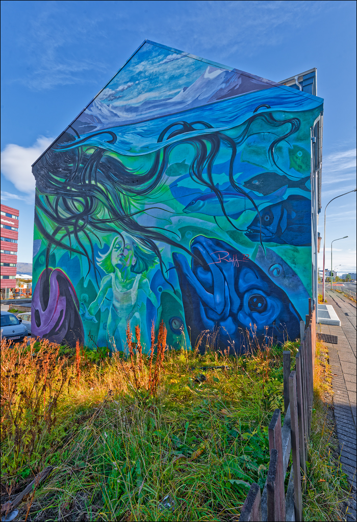 RaudholarCalgahraun 2023 156