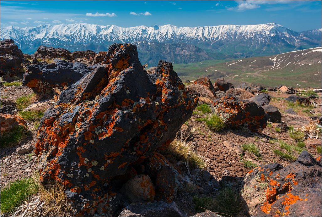 Iran2016050208144176