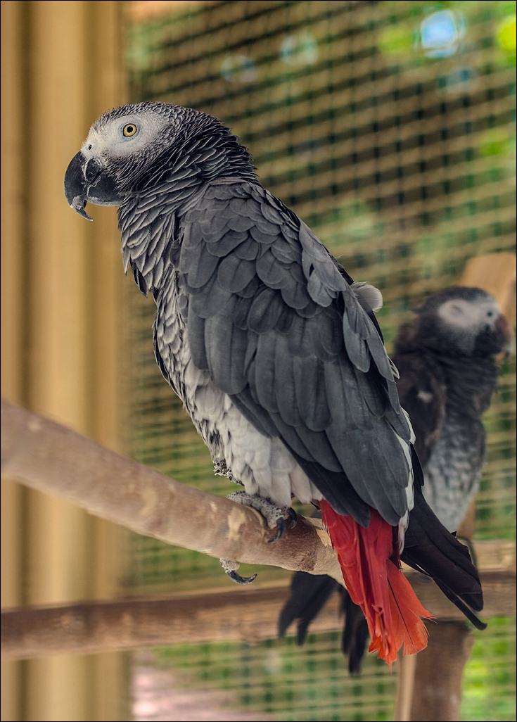 Iran20160506083352325