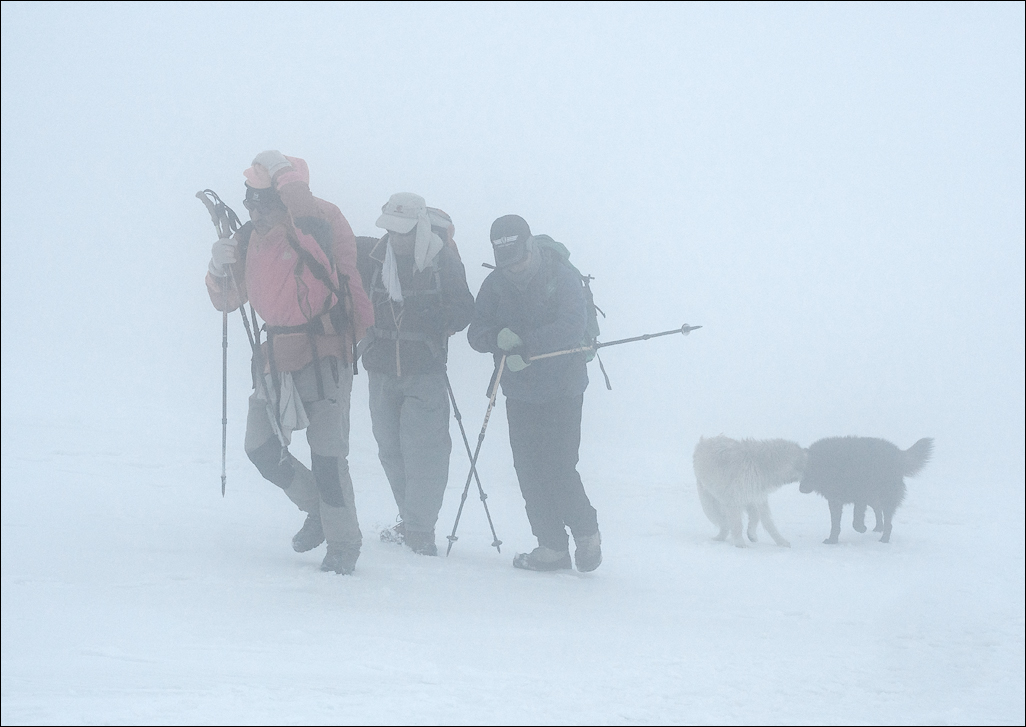 Iran201605120947231876