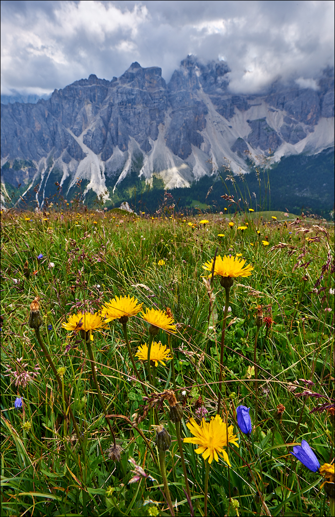 Dolomites 2017 2 033033