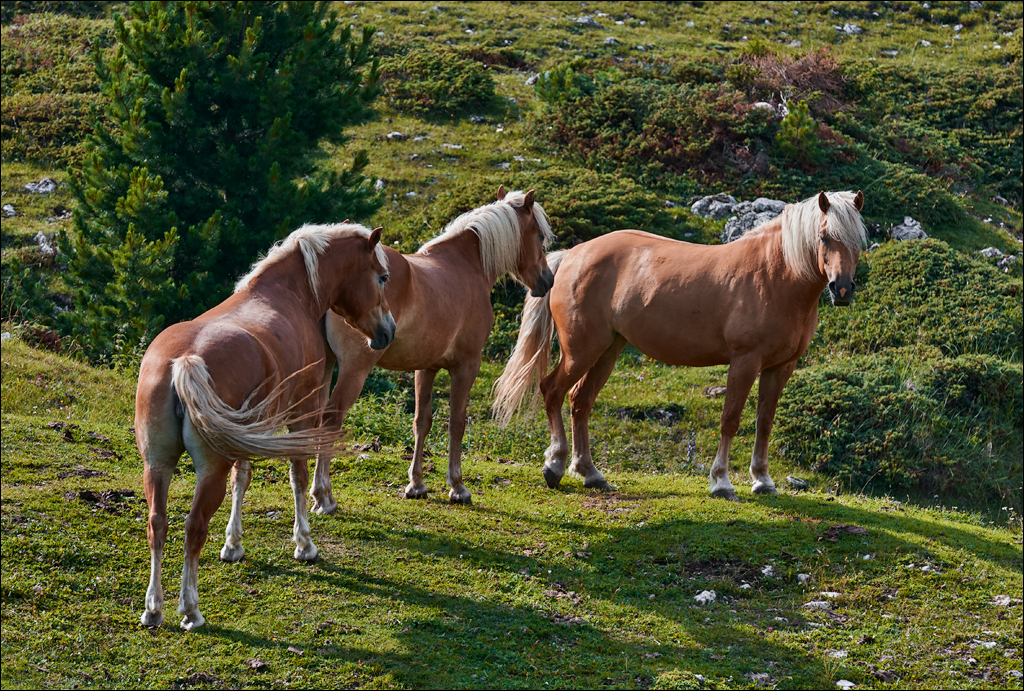 Dolomites 2017 2 122122