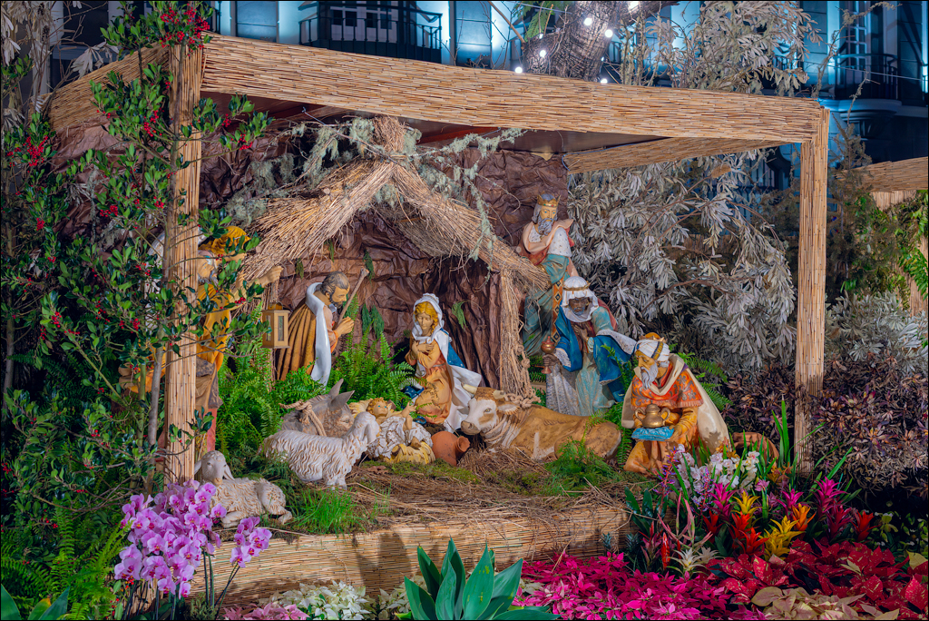 Madeira 24dec2024 08jan2025 208 00