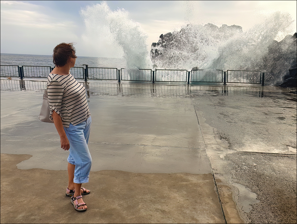 Madeira 24dec2024 08jan2025 135 00