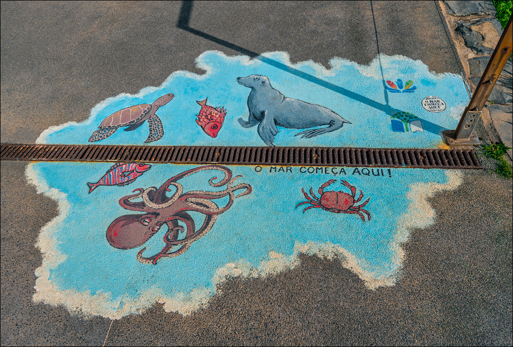 Madeira 24dec2024 08jan2025 157 00