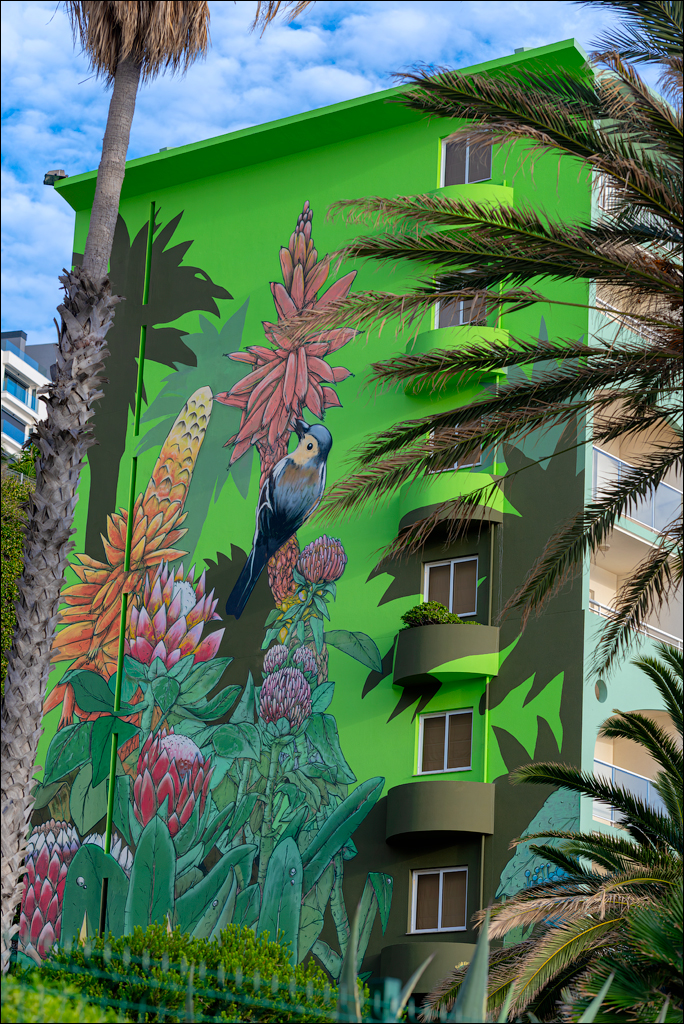 Madeira 24dec2024 08jan2025 162 00