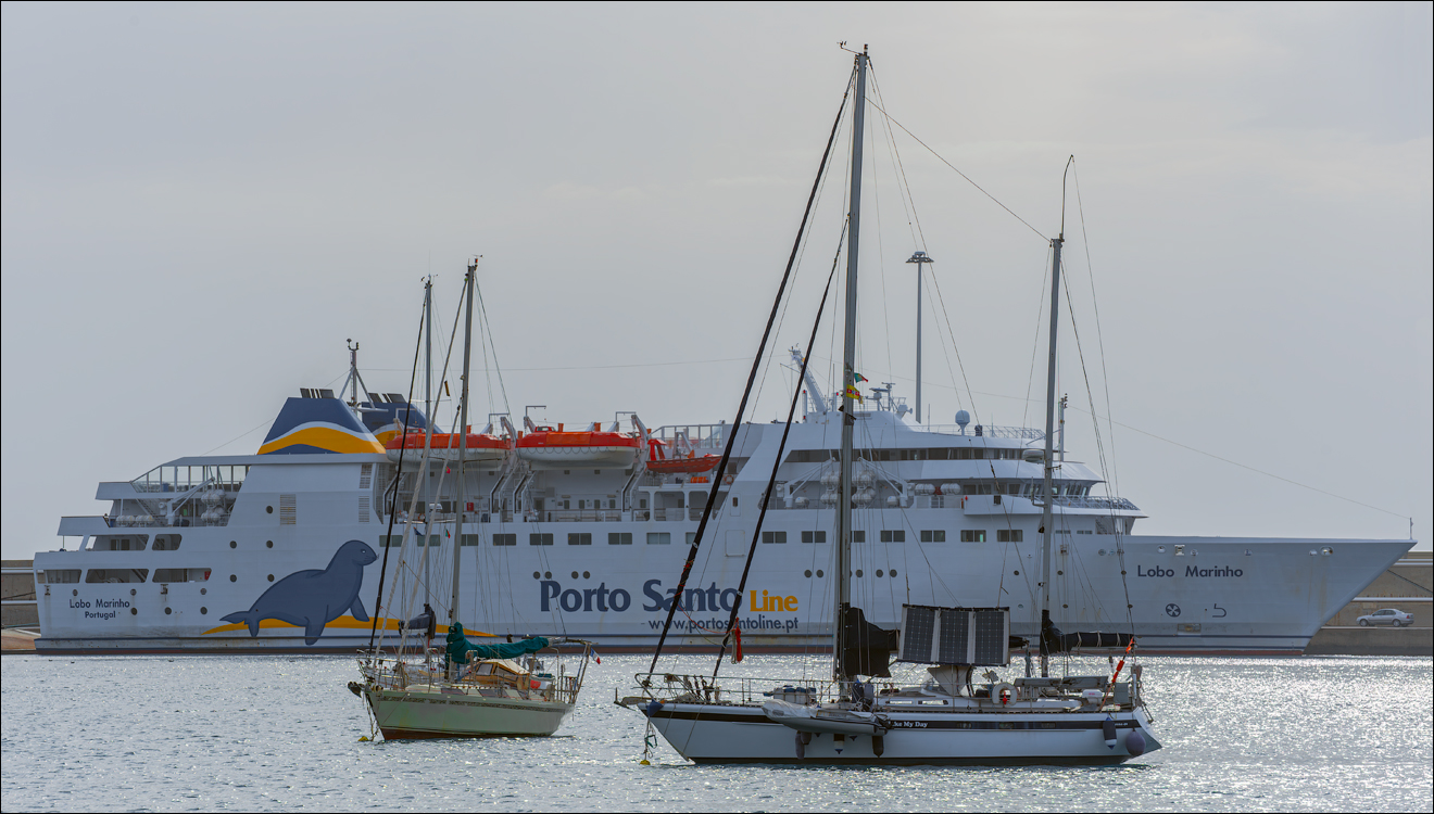 Madeira 24dec2024 08jan2025 100 00