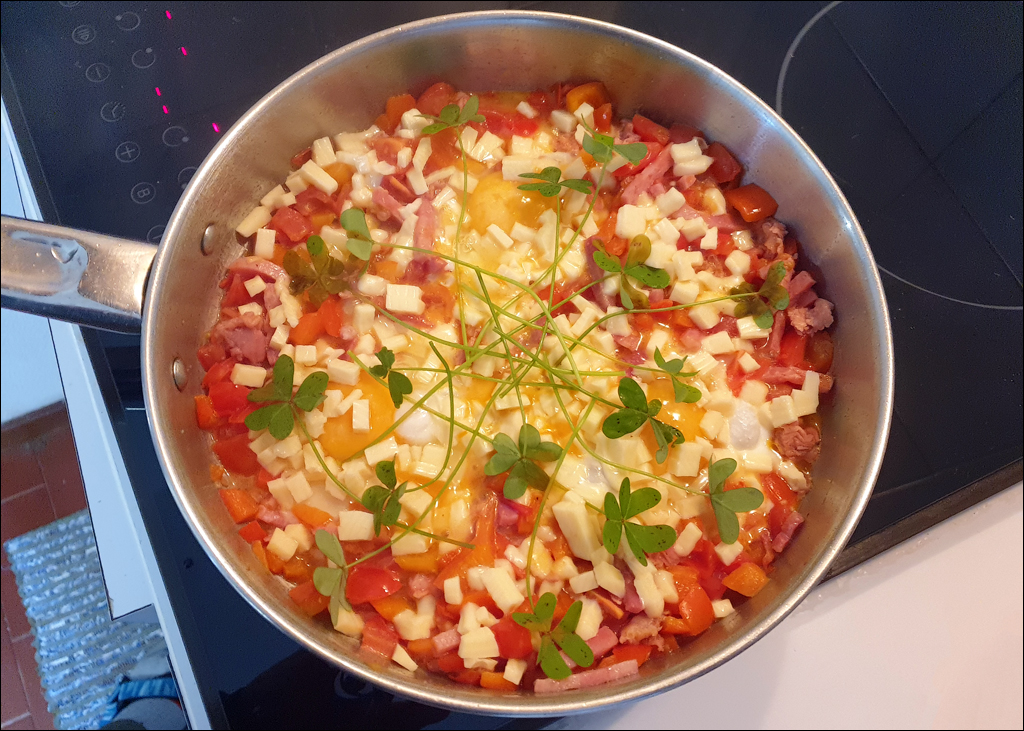 Madeira 24dec2024 08jan2025 124 00